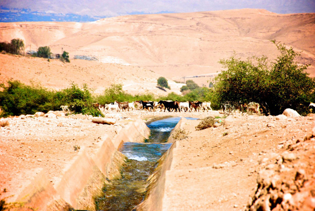 Muaz Bin Jabal, Jordan